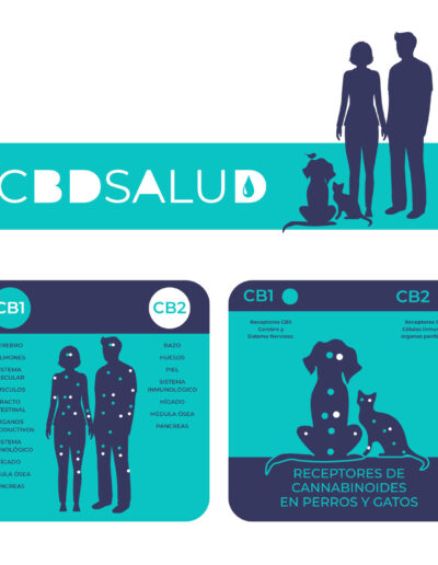 CBD Salud, Contenido Audiovisual, Animación, LCS Audiovisual, Productora Audiovisual Zaragoza